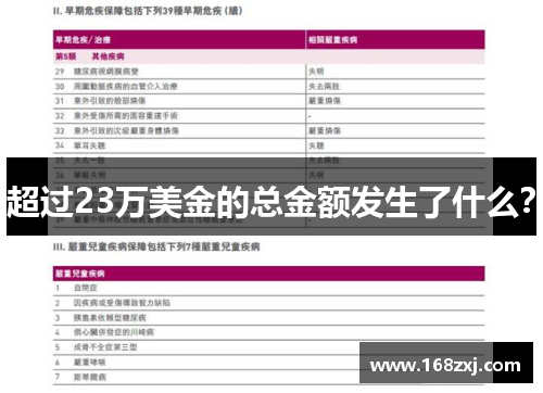 超过23万美金的总金额发生了什么？